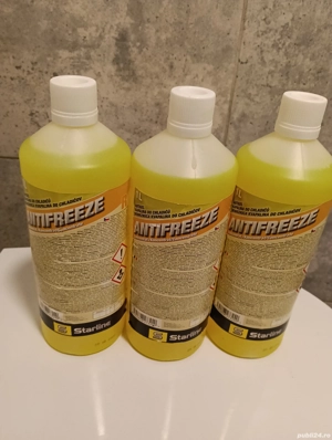 3 litri de Antigel concentrat Antifreeze. Amândouă la 50 lei. 