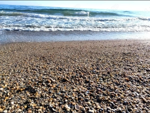 Limba și literatura română_EXAMENE