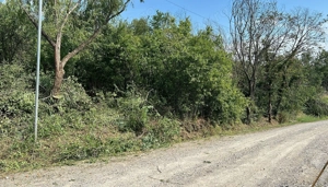 Teren intravilan, zona verde, 1250mp, str. Soarelui Oradea 119e mp - imagine 8