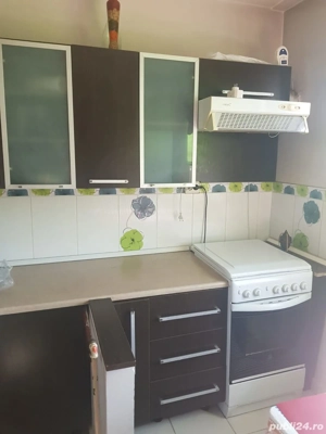 Teiul Doamnei apartament 2 camere  - imagine 6