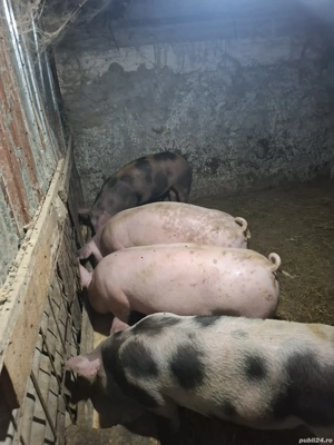 Pentru masa de Crăciun.  - imagine 4