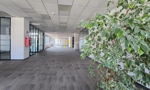 Birouri moderne de inchiriat 900 mp I Parcare subterana I Ultracentral Cluj
