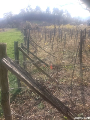 teren , vie  - imagine 2