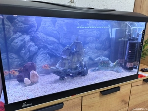 Vand acvariu  - imagine 3