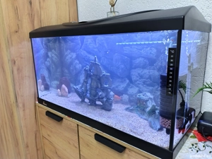 Vand acvariu  - imagine 2