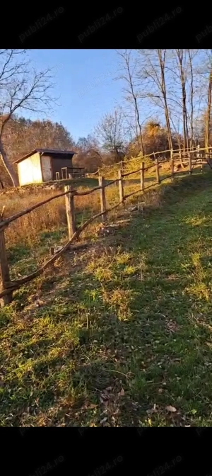 Vand sau schimb teren - imagine 5