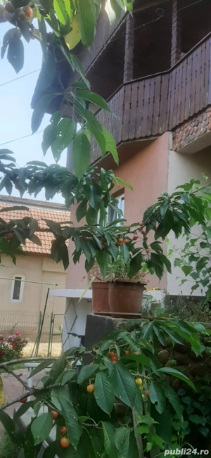 Casa de vanzare - imagine 6