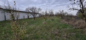 Teren intravilan Nitchidorf jud.Timis - imagine 4