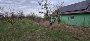 Teren intravilan Nitchidorf jud.Timis - imagine 3