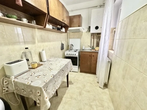 Apartament 1 camera complet mobilat si utilat - Buziasului - imagine 3