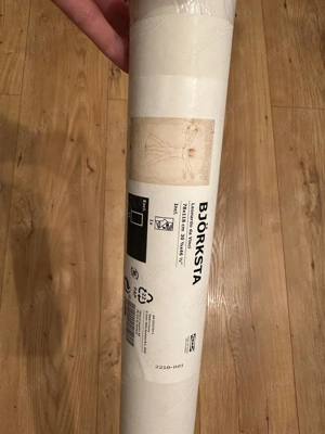 Tablou Ikea Leonardo Da Vinci + rama de aluminiu BJORKSTA