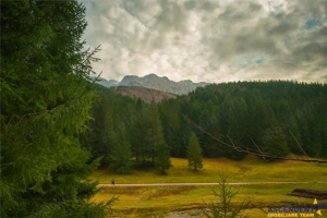 Teren intravilan panoramic 4.600mp,view iconic Piatra Craiului,oportunitate premium
