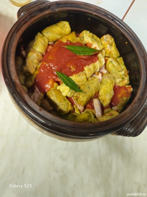 gatesc mancare orice fel doriti dv 