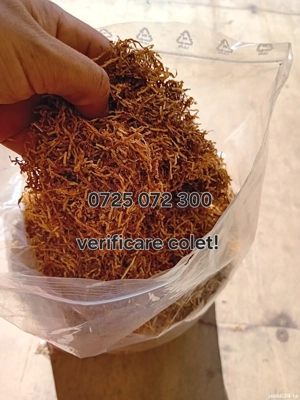 firicel la galeata auriu 0.1