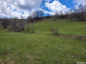 Teren de vânzare   Mărișel, sat Costești, zona Ijar - Judetul Cluj Napoca - imagine 2