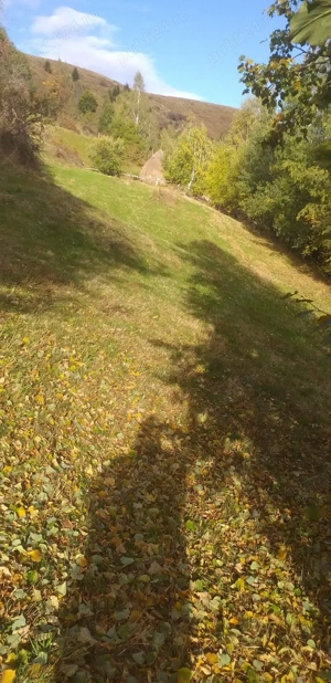 Teren de vânzare   Mărișel, sat Costești, zona Ijar - Judetul Cluj Napoca - imagine 4