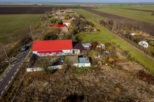  Oportunitate Unică de Vânzare în Variasu Mare!  - imagine 8