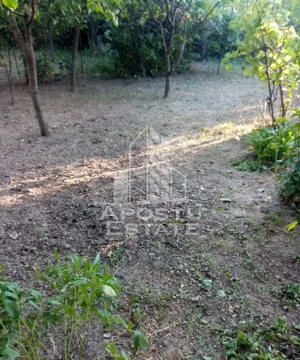 Casă veche în Timișoara  cu teren generos 806 mp - imagine 2