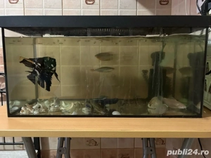Acvariu 60 L se vinde cu tot ce se vede