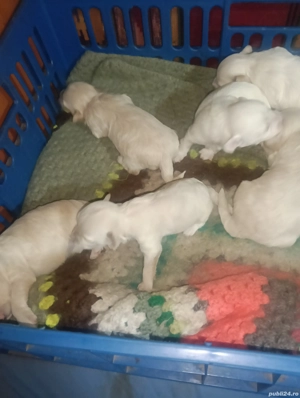 de vânzare  - imagine 5