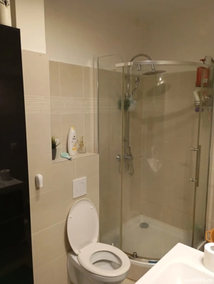 Chirie apartament cu o camera zona Vivo  - imagine 7