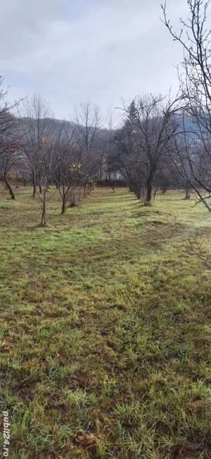 Vând teren intravilan - imagine 2