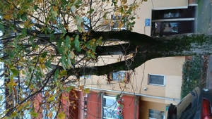   Oportunitate Unică! Apartament Lângă Piața Verde și Agronomie! - imagine 5
