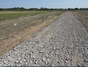 Teren de vanzare clinceni 500mp!