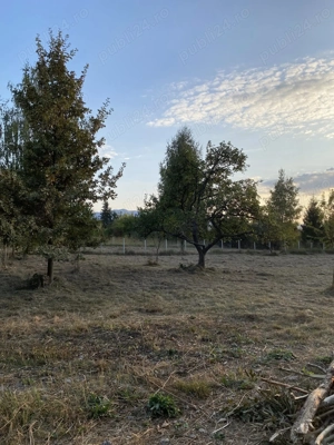 In statiune turistica, Ocna Sugatag, Maramures, teren intravilan
