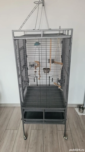 vînd o volieră papagali