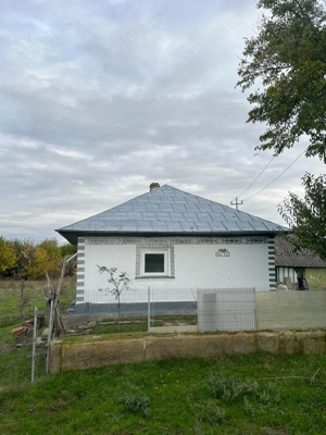 Casa pe malul Dunarii - imagine 3