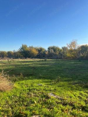 Casa pe malul Dunarii - imagine 5