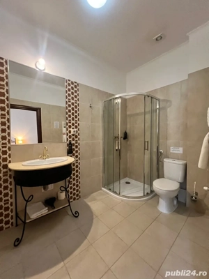DE VANZARE Park Villa Boutique Hotel4*Zona istorica Timisoara - imagine 6