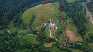  Fermă de animale + teren de vânzare în comuna Bughea de Jos, județ Argeș. - imagine 10