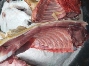 Vand carne de purcei porc la carcasa sau după preferinta kgpret 17 lei kg