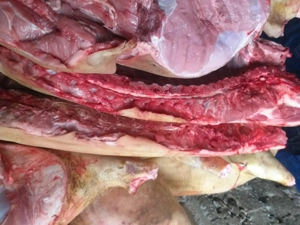 Vand carne de purcei porc la carcasa sau după preferinta kgpret 17 lei kg - imagine 2