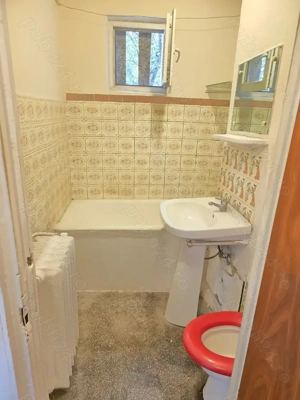 Lacul Tei, Teiul Doamnei, Colentina 