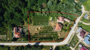 Casă + 6100 mp teren de vânzare în comuna Cepari, sat Urluiești, județ Argeș. - imagine 13