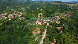 Casă + 6100 mp teren de vânzare în comuna Cepari, sat Urluiești, județ Argeș. - imagine 17