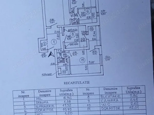 Obor,Colentina, Teiul Doamnei  