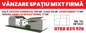 Spațiu mixt compus din Depozit cu magazin, casă, garaj cu apartament Lidia  - imagine 2