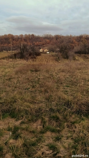 teren intravilan in comuna Plugova  - imagine 4