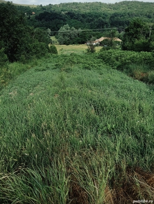 teren intravilan in comuna Plugova  - imagine 5