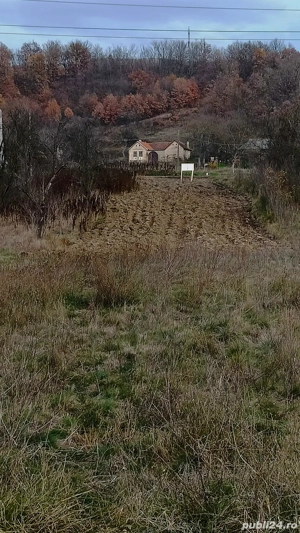 teren intravilan in comuna Plugova  - imagine 3