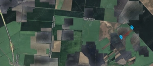 Teren 53.211 mp Nuci   Merii Petchii, Ilfov - 5   mp - imagine 2