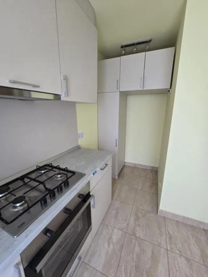 Casă cu hală și anexe Potențial pentru locuință și afacere Biled - imagine 9