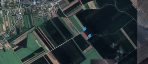 Teren 53.211 mp Nuci   Merii Petchii, Ilfov - 5   mp - imagine 4