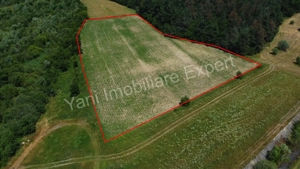 Teren de vânzare în comuna Băiculești, Judet Argeș. - imagine 3