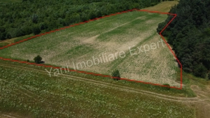 Teren de vânzare în comuna Băiculești, Judet Argeș. - imagine 8