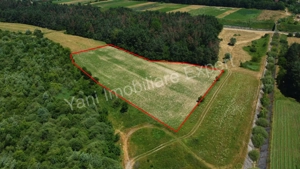 Teren de vânzare în comuna Băiculești, Judet Argeș. - imagine 7